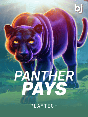 প্যান্থার পেজ game icon